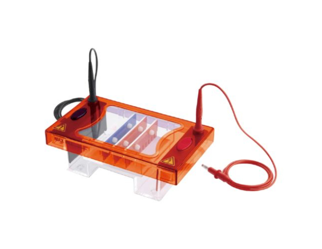 小型水平電泳系統